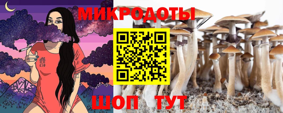 Псилоцибиновые грибы Magic Shrooms Славянск-на-Кубани