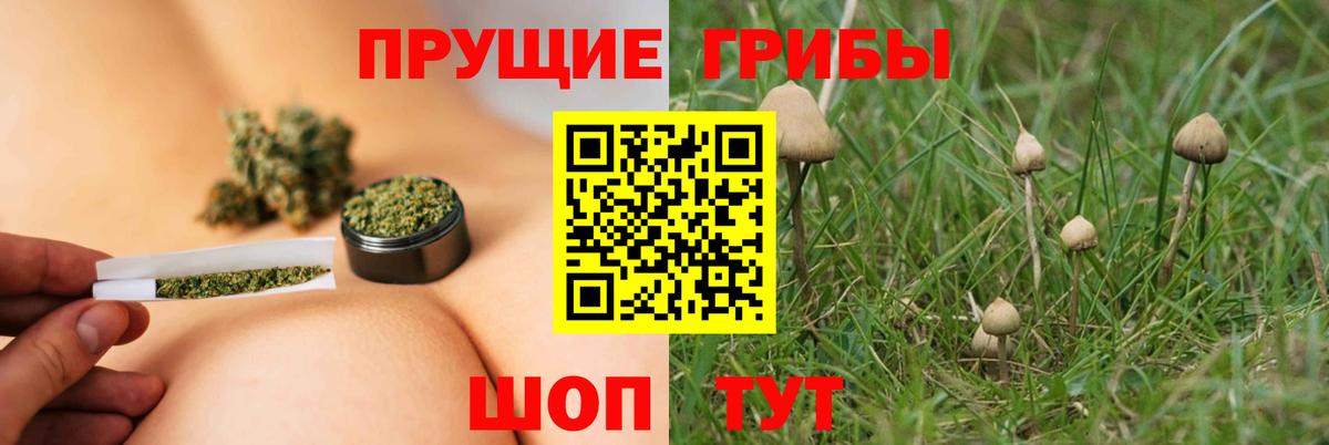 Псилоцибиновые грибы ЛСД  где найти наркотики  Славянск-на-Кубани  Вход с VPN 